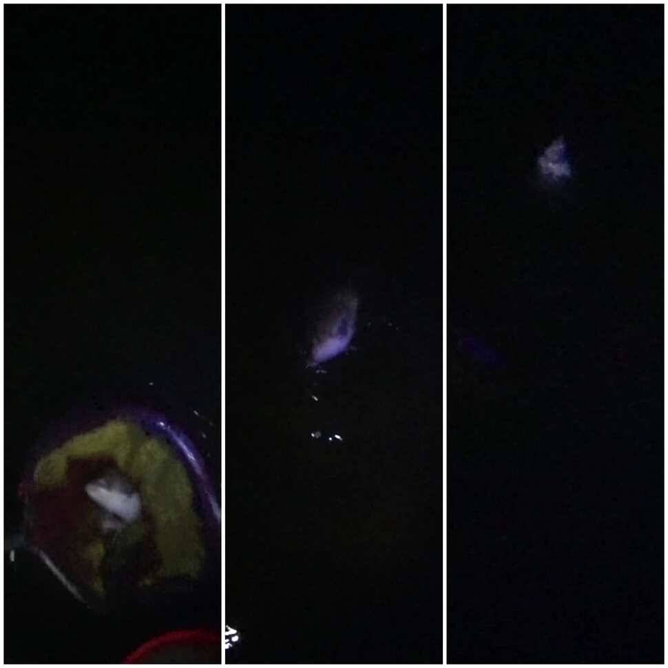 산정낚시터 조행기 (유료터정보 - 유료터조행기)