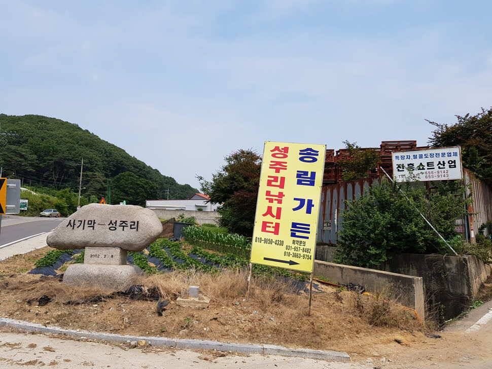 오산나그네의 안성 성주리낚시터 조행기 (유료터정보 - 유료터조행기)