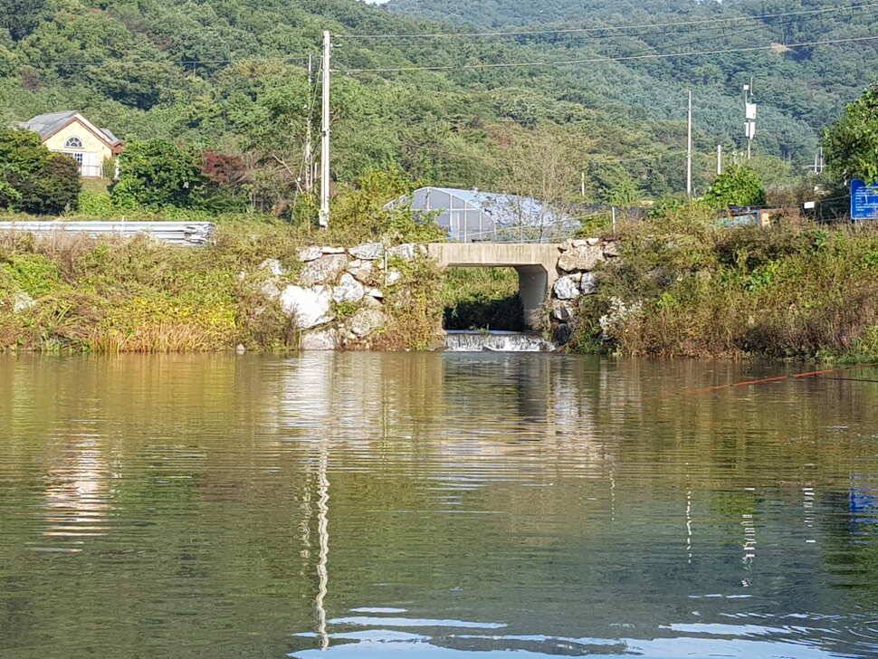 오산나그네오산나그네의 추곡낚시터 조행기 이젠 가을이네요 (유료터정보 - 유료터조행기)