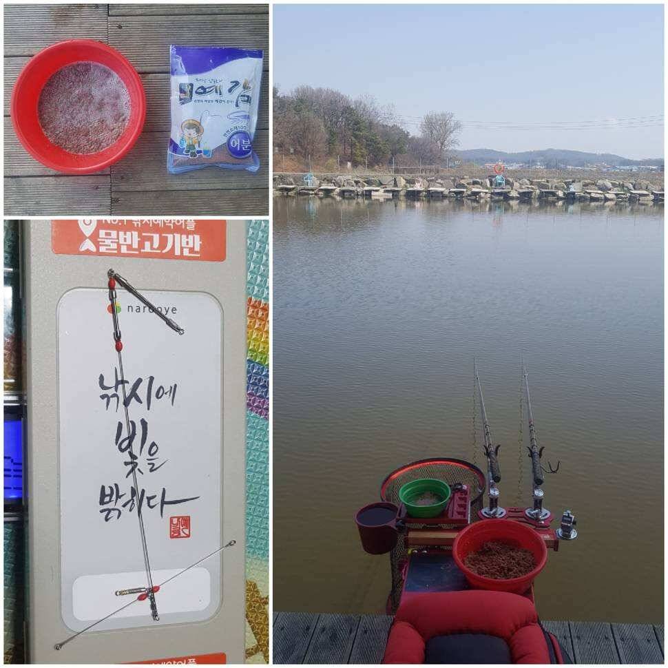 김포낚시터 조행기 입니다 (유료터정보 - 유료터조행기)
