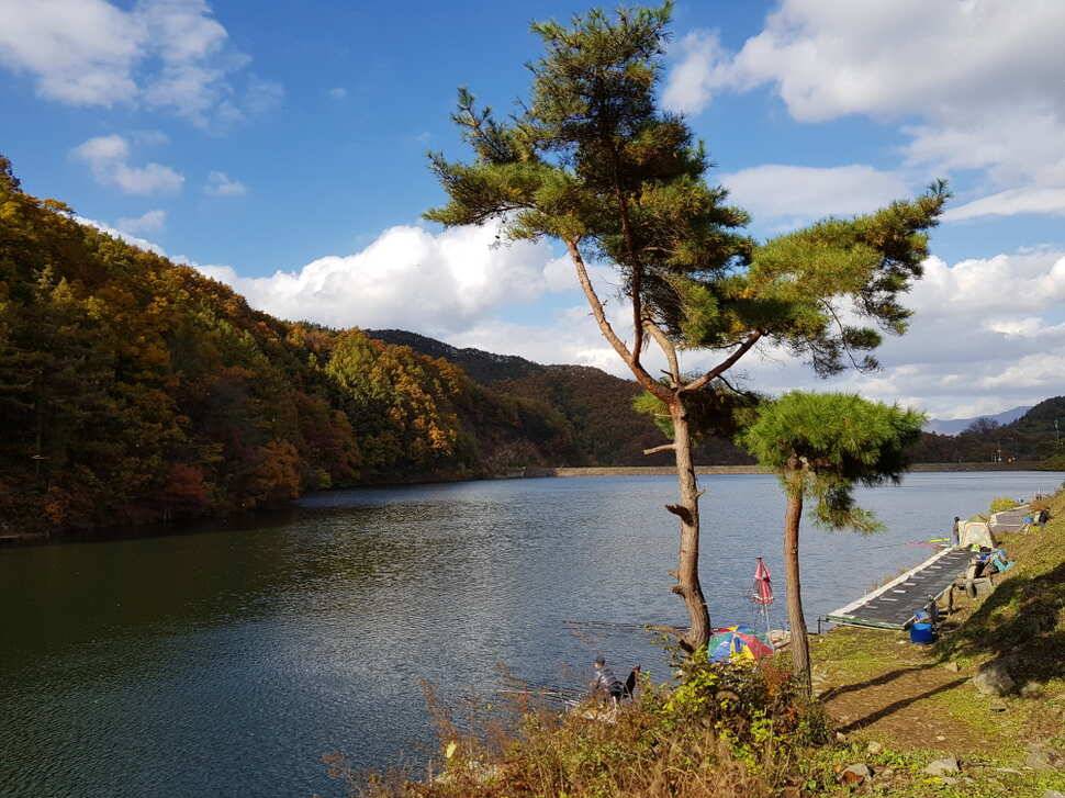 오산나그네의 도시어부찰영지 선고지 조행기 (유료터정보 - 유료터조행기)