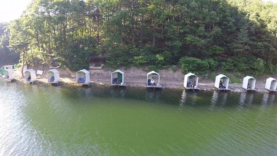 오산나그네의 천평낚시터 짬낚조행기 (유료터정보 - 유료터조행기)