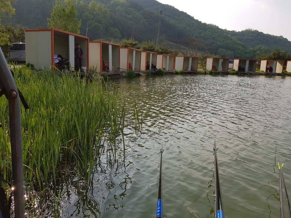 오산나그네의 음성 복상골 낚시터 조행기 (유료터정보 - 유료터조행기)