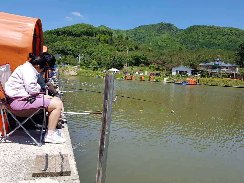 오산나그네의 경기도 광주 추곡낚시터 조행기 (유료터정보 - 유료터조행기)