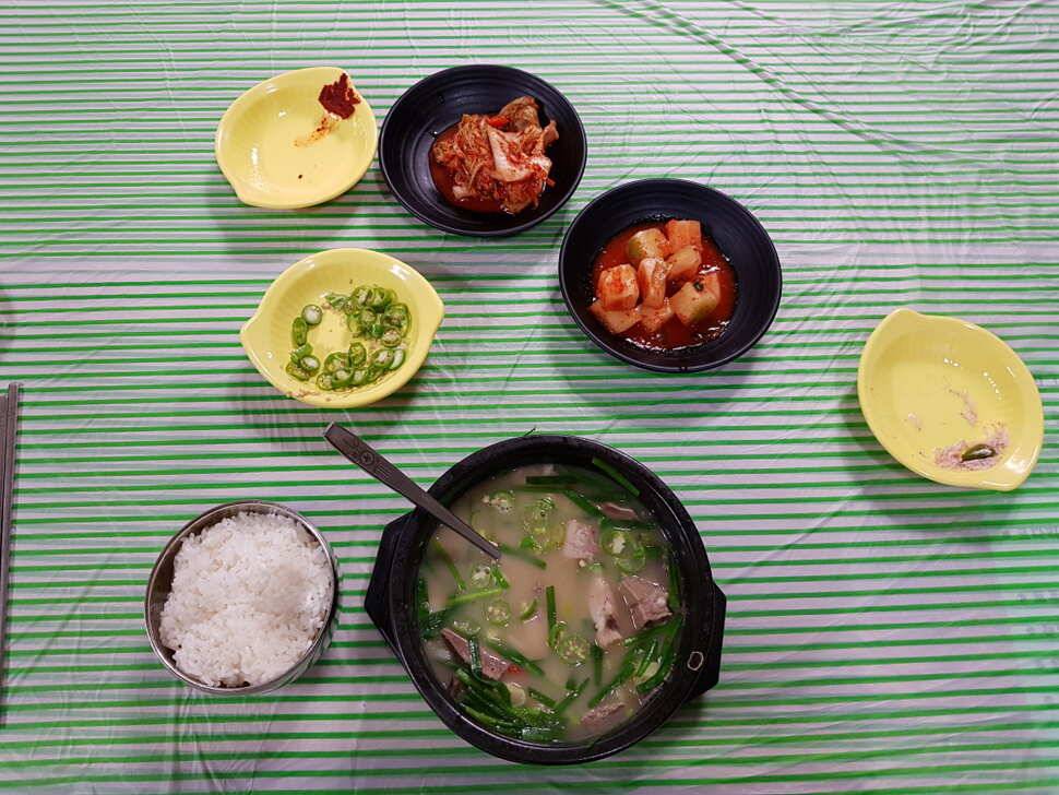 오산나그네의 제천 선고지낚시터 조행기 (유료터정보 - 유료터조행기)
