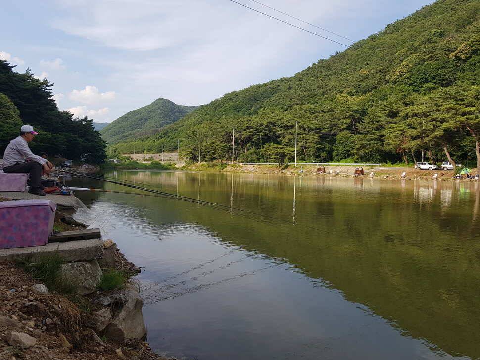 오산나그네의 제천 명암낚시터 조행기 (유료터정보 - 유료터조행기)