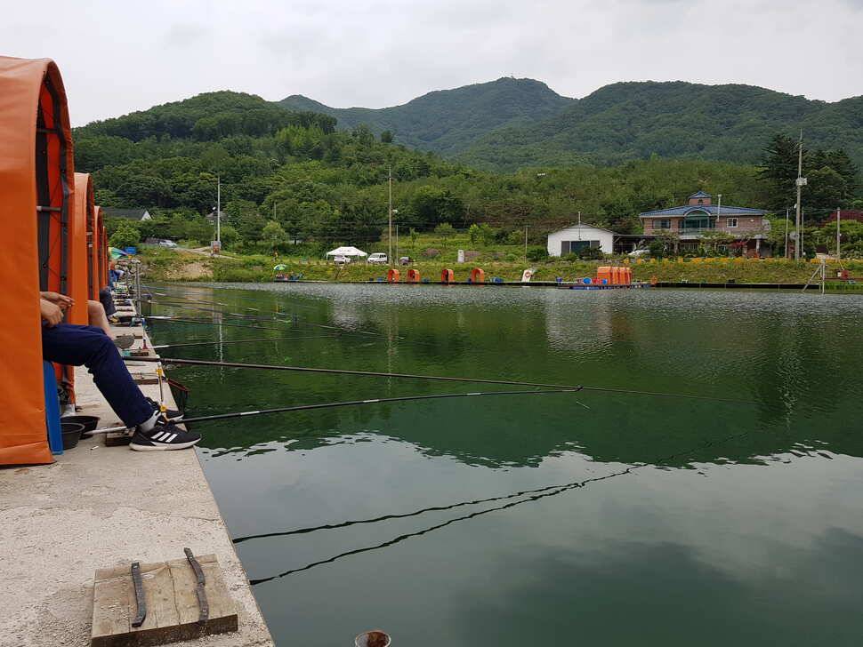 오산나그네의 광주 추곡낚시터 조행기2 (유료터정보 - 유료터조행기)