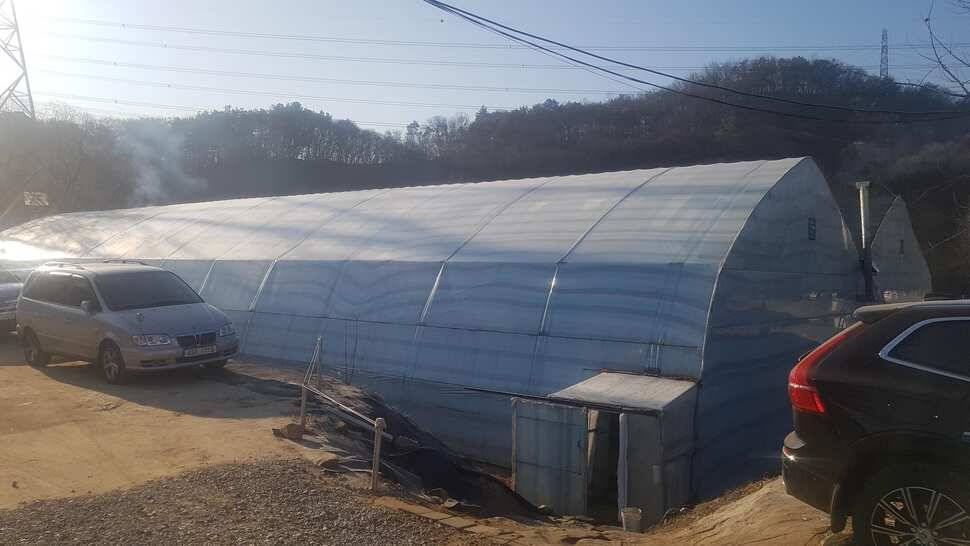 백두산낚시터 조행기 (유료터정보 - 유료터조행기)