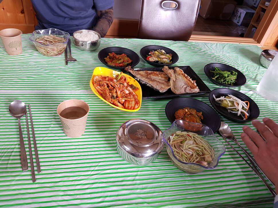 오산나그네의 제천선고지낚시터 조행기 (유료터정보 - 유료터조행기)