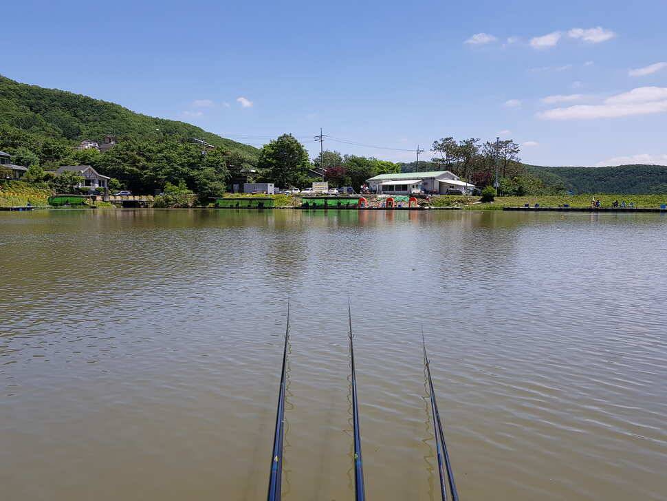 오산나그네의 경기도 광주 추곡낚시터 조행기 (유료터정보 - 유료터조행기)