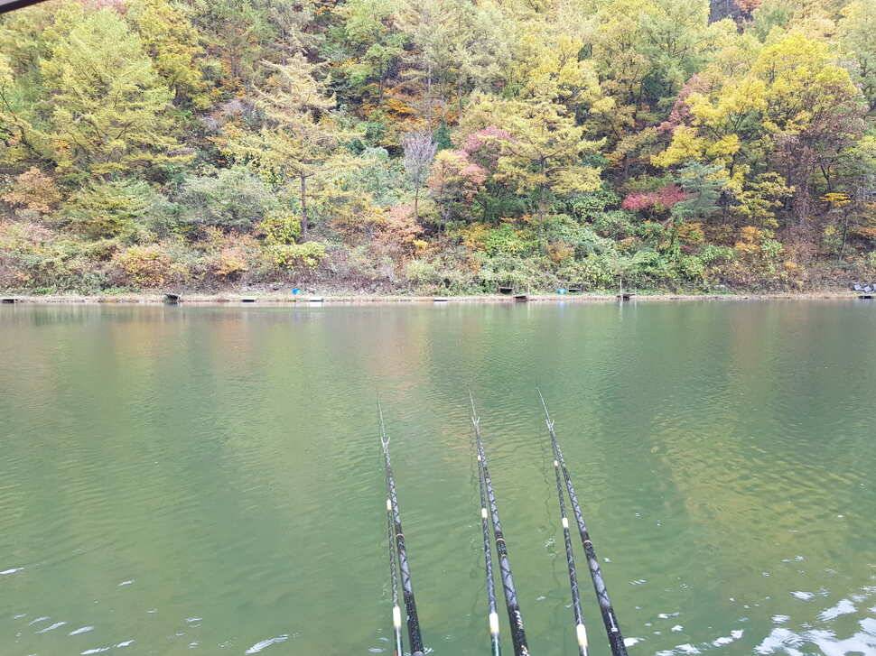 오산나그네의 도시어부찰영지 선고지 조행기 (유료터정보 - 유료터조행기)