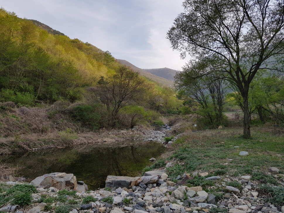 오산나그네의 제천 선고지낚시터 조행기 (유료터정보 - 유료터조행기)
