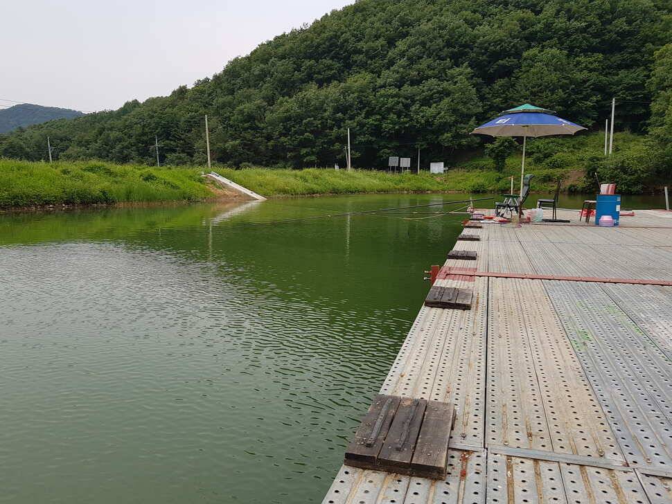 오산나그네의 안성 성주리낚시터 조행기 (유료터정보 - 유료터조행기)