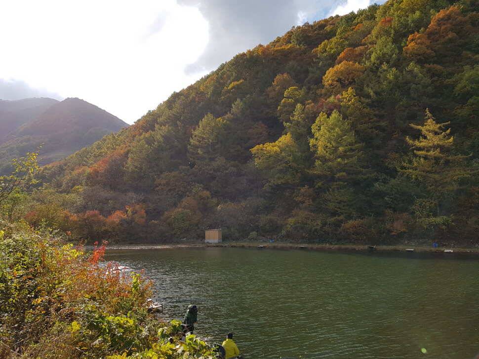 오산나그네의 도시어부찰영지 선고지 조행기 (유료터정보 - 유료터조행기)