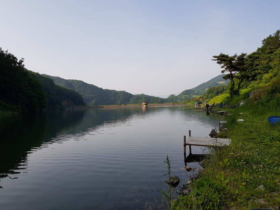 오산나그네의 제천선고지낚시터 조행기 (유료터정보 - 유료터조행기)