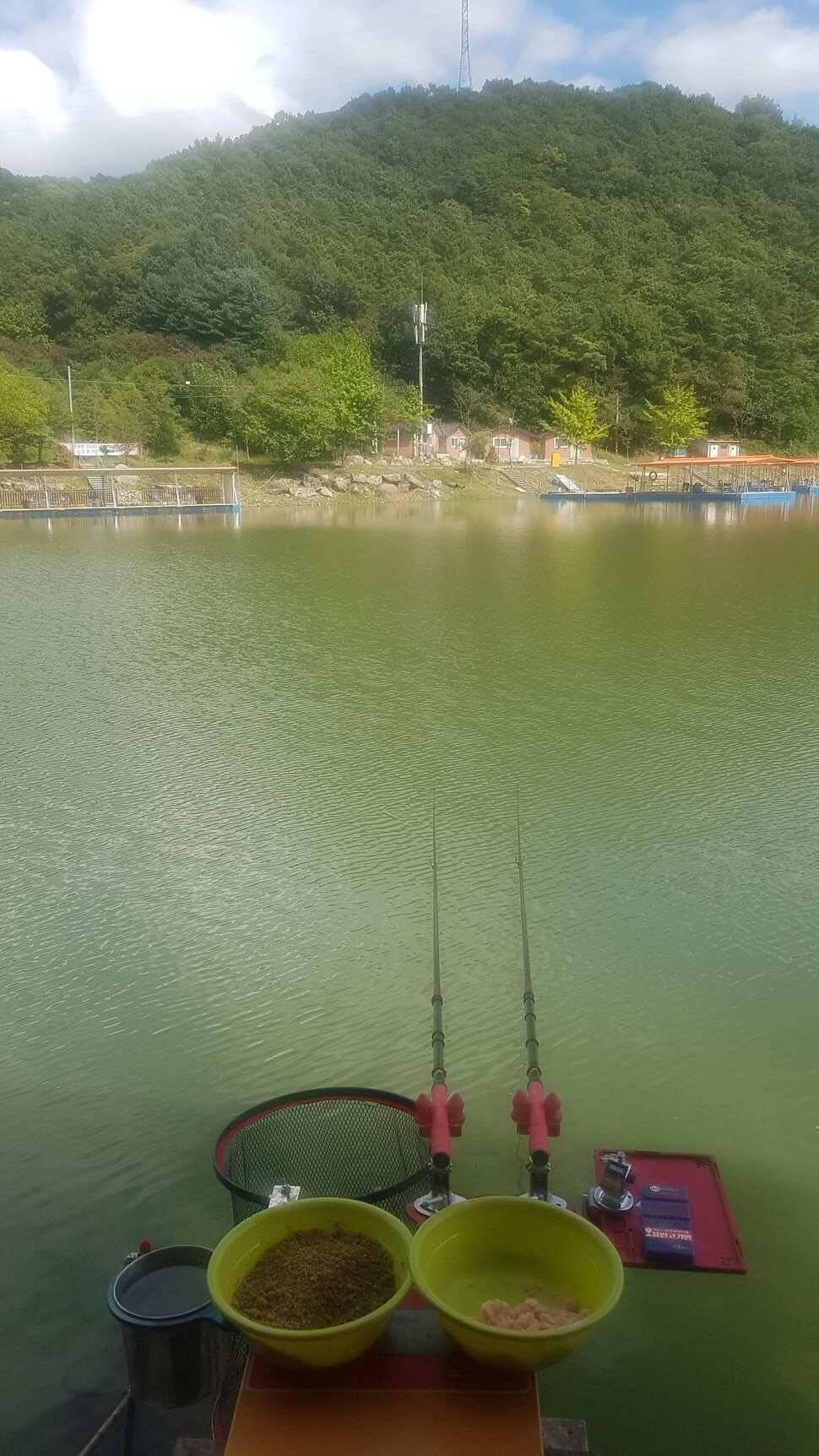 수곡낚시터 조행기입니다 (유료터정보 - 유료터조행기)