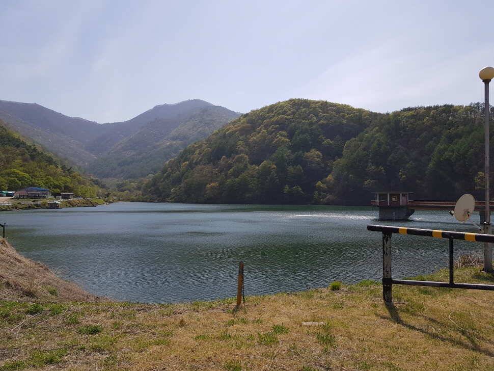 오산나그네의 제천 선고지낚시터 조행기 (유료터정보 - 유료터조행기)