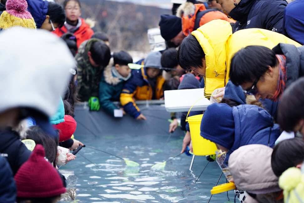 포천빙어축제가 한창인 초원낚시터 소식입니다 (유료터정보 - 유료터조행기)