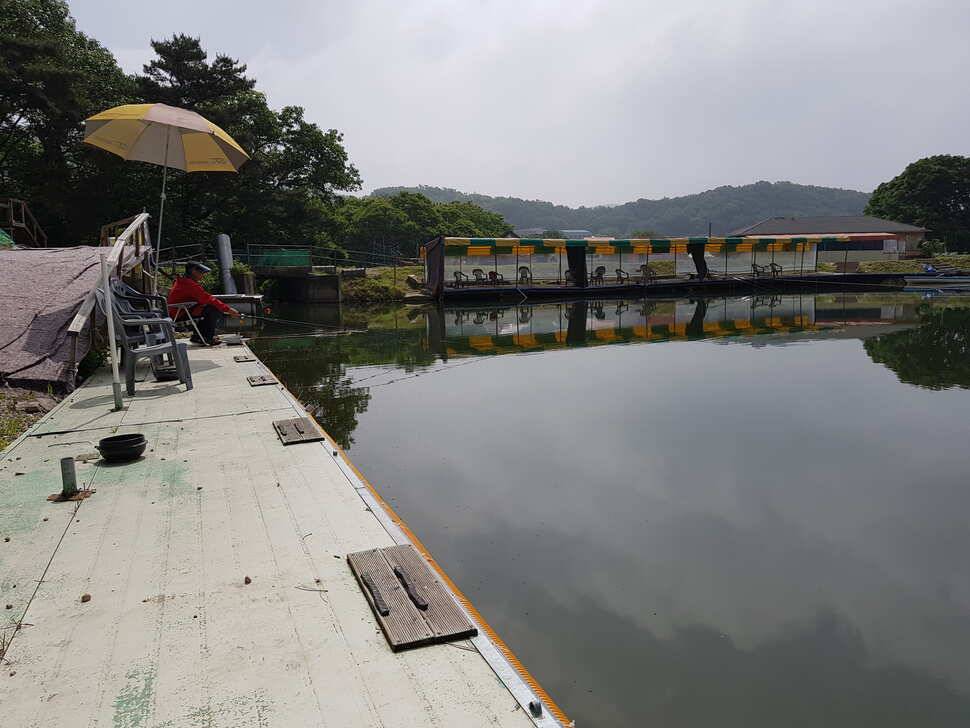 오산나그네의 여주관광농원낚시터 조행기 (유료터정보 - 유료터조행기)