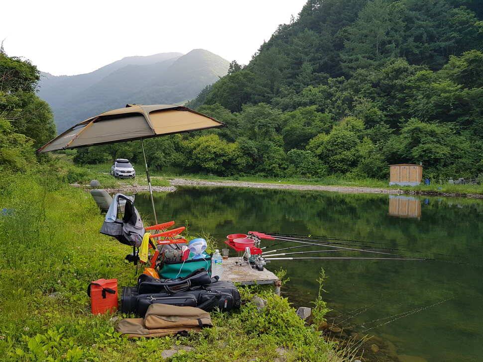 오산나그네의 제천선고지낚시터 조행기 (유료터정보 - 유료터조행기)
