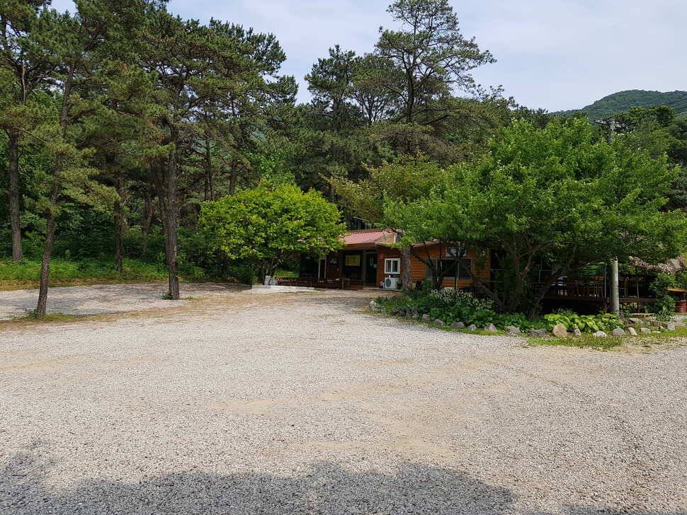 오산나그네의 안성 성주리낚시터 조행기 (유료터정보 - 유료터조행기)