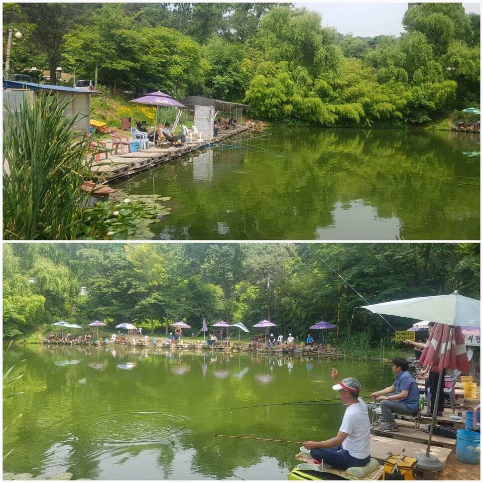 쉼터낚시터 조행기 입니다 (유료터정보 - 유료터조행기)
