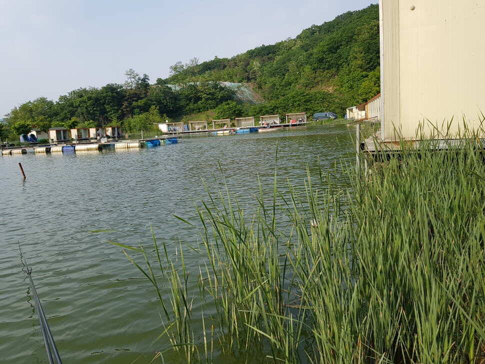 오산나그네의 음성 복상골 낚시터 조행기 (유료터정보 - 유료터조행기)