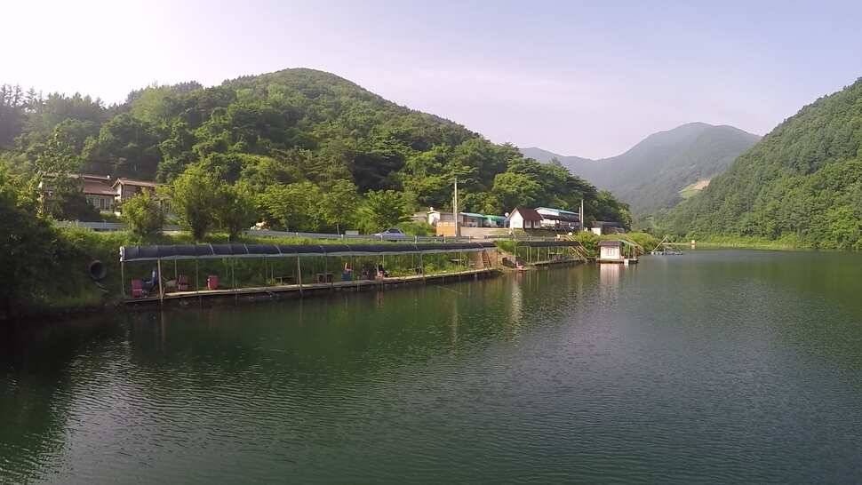 오산나그네의 제천선고지낚시터 조행기 (유료터정보 - 유료터조행기)