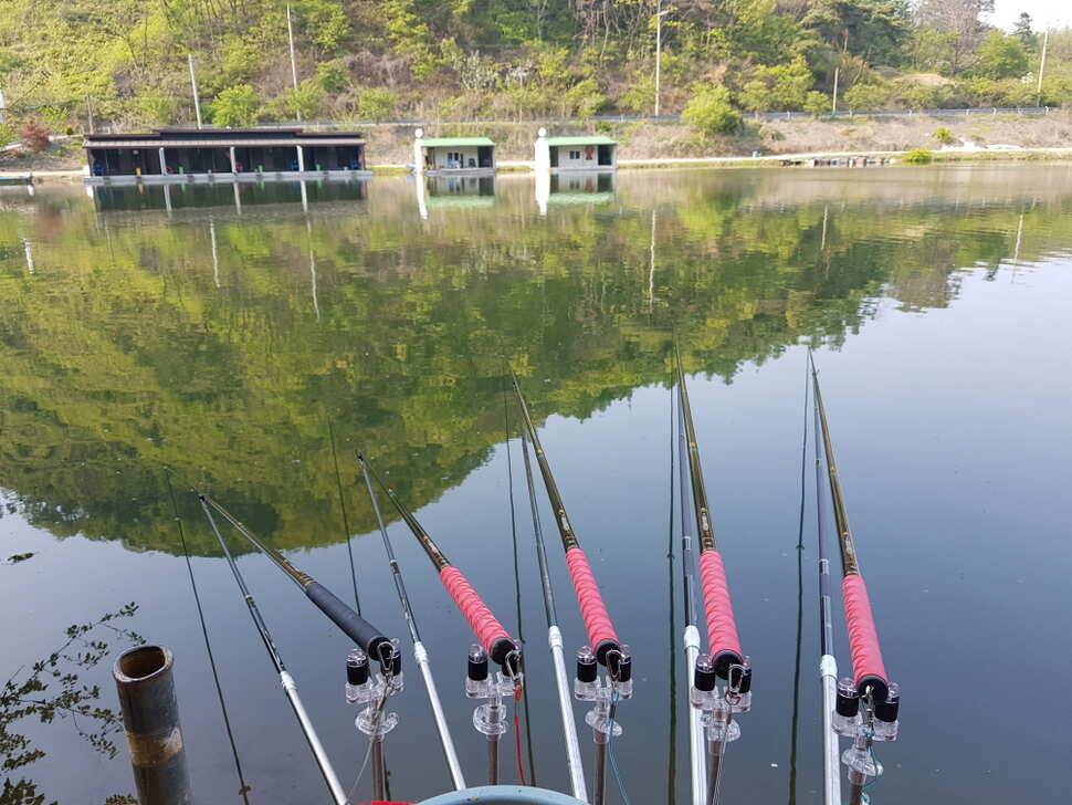 오산나그네의 음성 봉낚시터 조행기 (유료터정보 - 유료터조행기)
