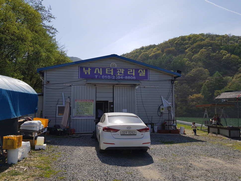 오산나그네의 제천 선고지낚시터 조행기 (유료터정보 - 유료터조행기)