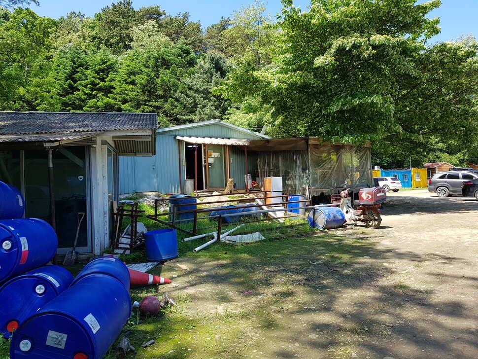 오산나그네의 용인 신기낚시터 조행기 (유료터정보 - 유료터조행기)