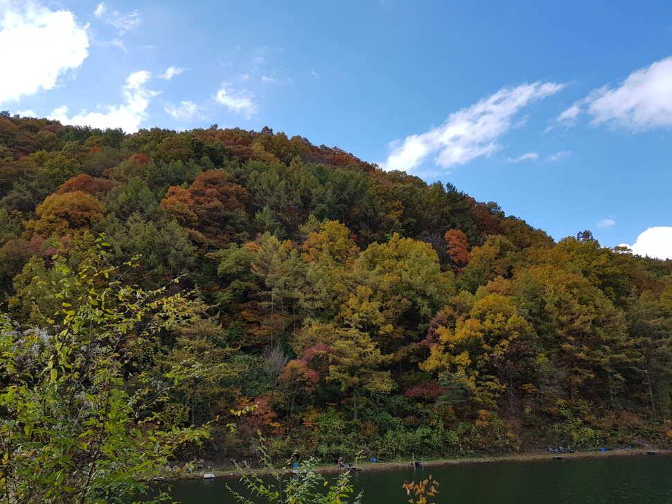 오산나그네의 도시어부찰영지 선고지 조행기 (유료터정보 - 유료터조행기)