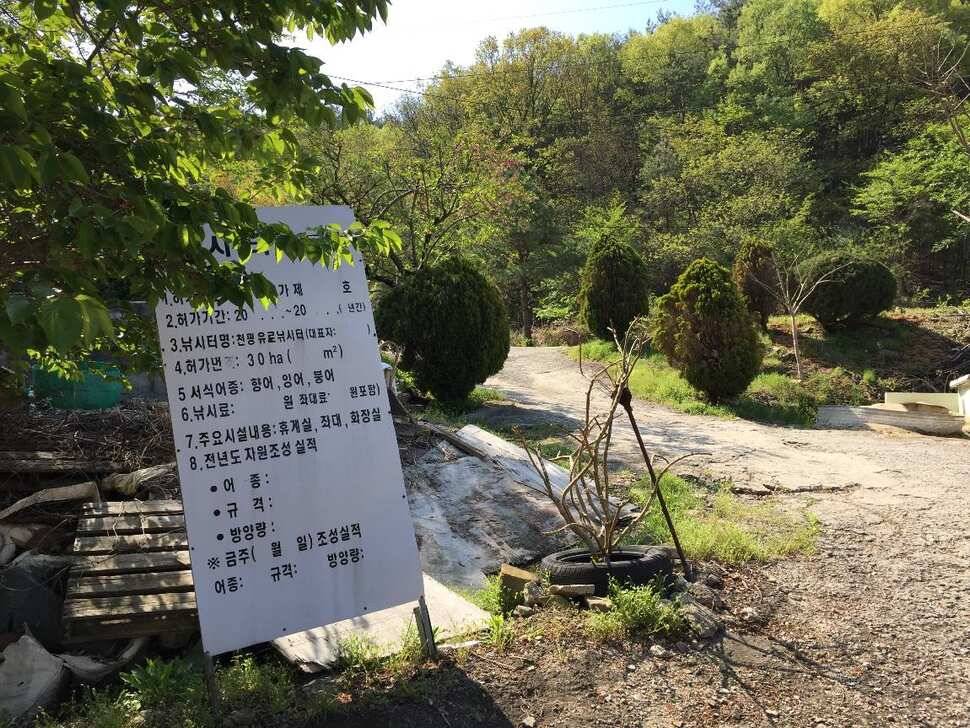 오산나그네의 천평낚시터 짬낚조행기 (유료터정보 - 유료터조행기)