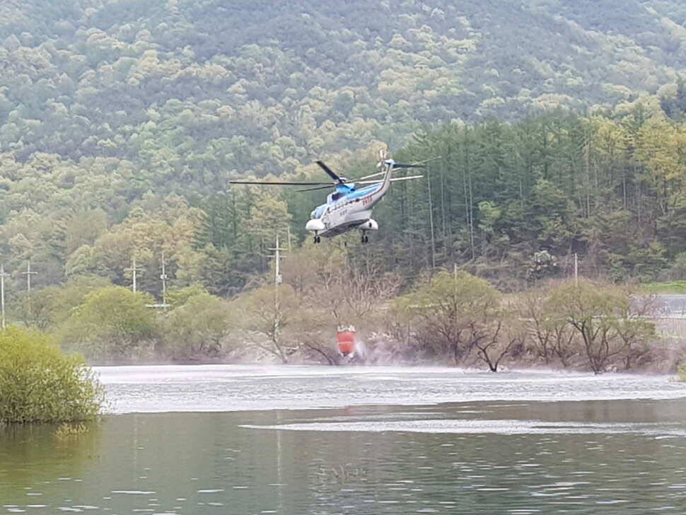 오산나그네의 제천 선고지낚시터 조행기 (유료터정보 - 유료터조행기)