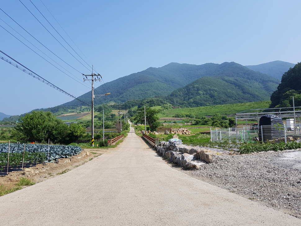 오산나그네의 제천선고지낚시터 조행기 (유료터정보 - 유료터조행기)