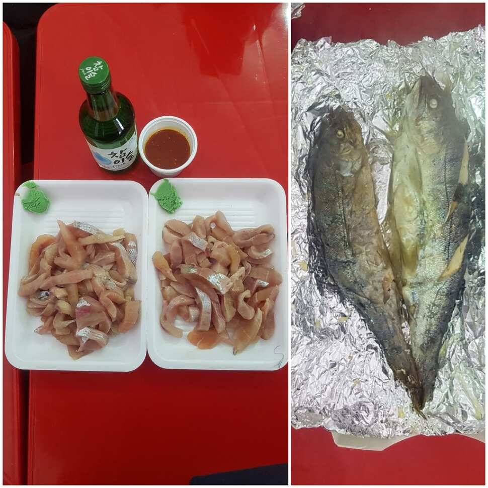 화천 산천어축제 다녀왔습니다 (유료터정보 - 유료터조행기)
