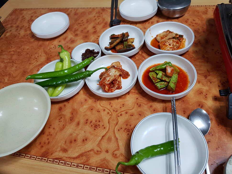 오산나그네의 양평대명낚시터 조행기 (유료터정보 - 유료터조행기)