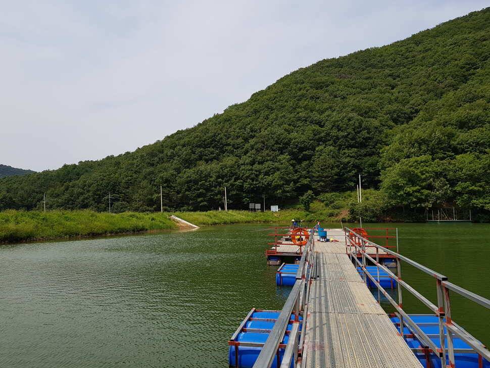 오산나그네의 안성 성주리낚시터 조행기 (유료터정보 - 유료터조행기)