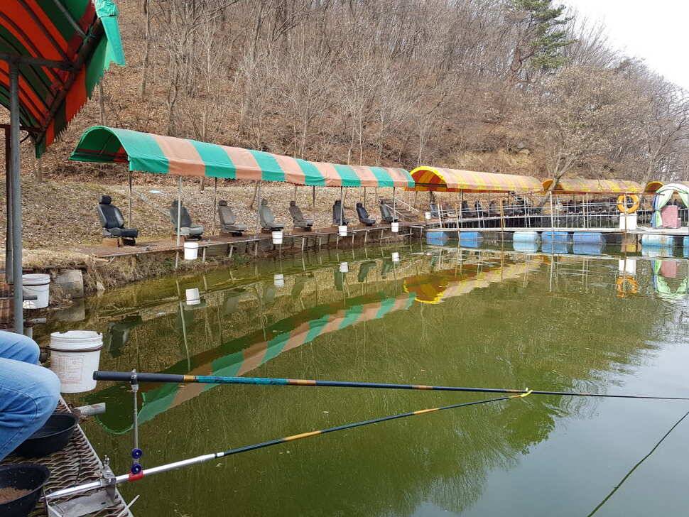 오산나그네의 설동낚시터조행기 (유료터정보 - 유료터조행기)
