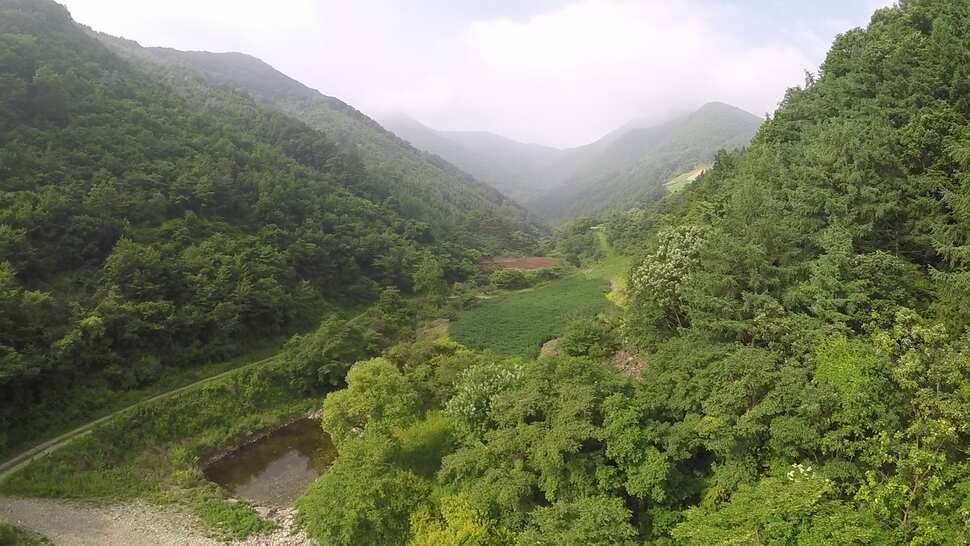 오산나그네의 제천선고지낚시터 조행기 (유료터정보 - 유료터조행기)