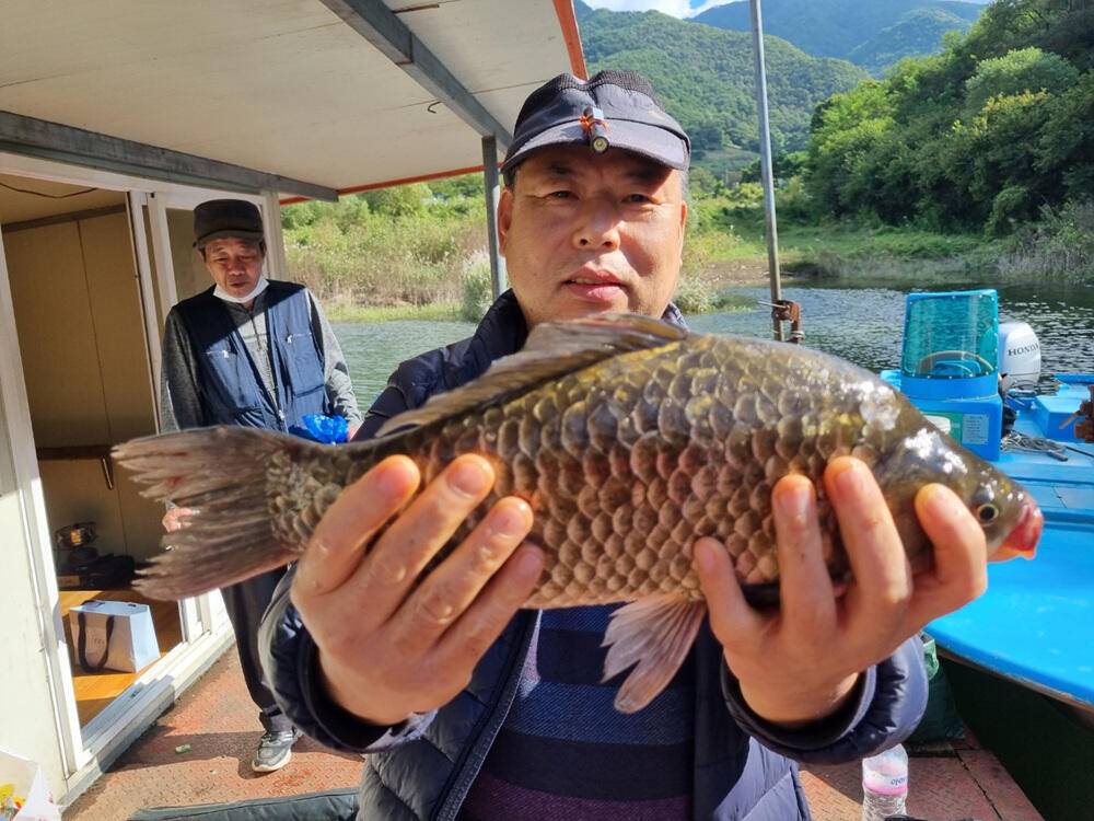 충주호 하천 낚시터 4짜 붕어 소식입니다 (조황조행기 - 특파원조황)