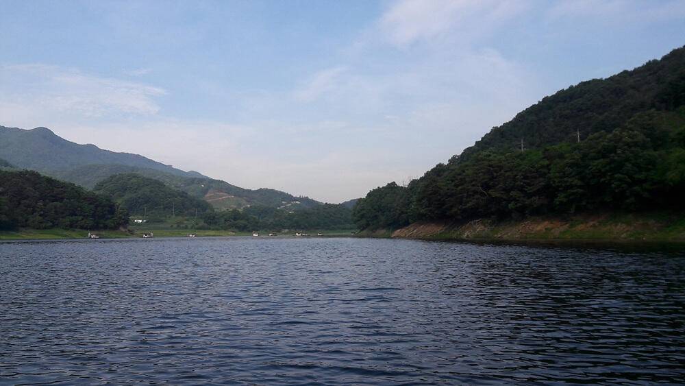 솔 하천 낚시터 붕어 조황 소식과 꽃바위 낚시터 장어 소식 (조황조행기 - 특파원조황)