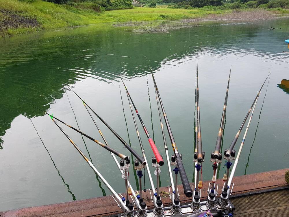 하천낚시터 4짜행진 43cm까지 (조황조행기 - 특파원조황)