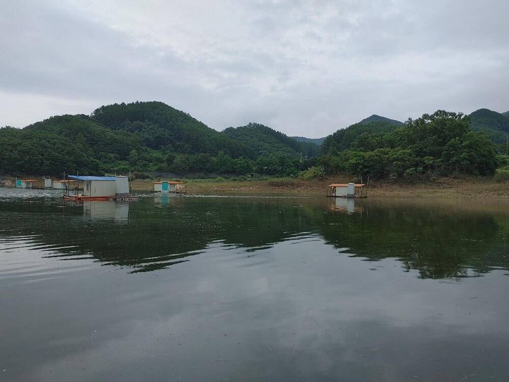 하천낚시터 4짜 붕어와 마릿수 서운낚시터 키로오버 장어 (조황조행기 - 특파원조황)