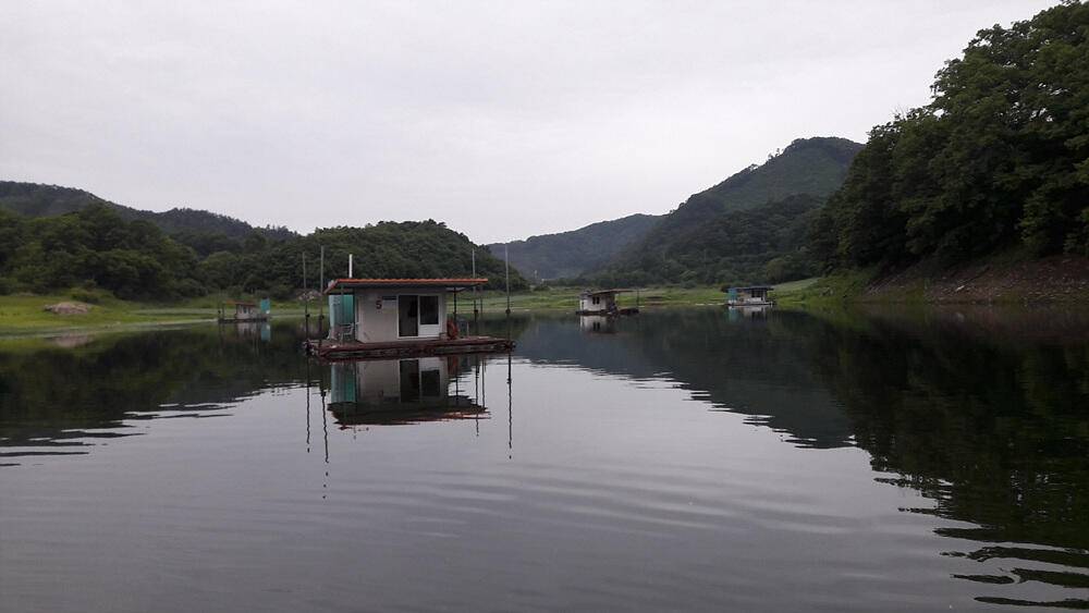 서운리 솔 낚시터와 하천 낚시터 4짜 붕어마릿수 소식입니다 (조황조행기 - 특파원조황)