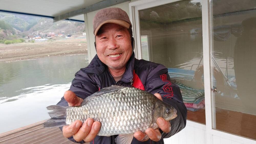 하천리 첫 개장에 4짜 대물붕어에 마릿수 조과도 있네요 (조황조행기 - 특파원조황)