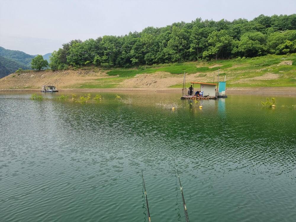 충주호 하천낚시터 허리급 붕어 마릿수 소식입니다 (조황조행기 - 특파원조황)