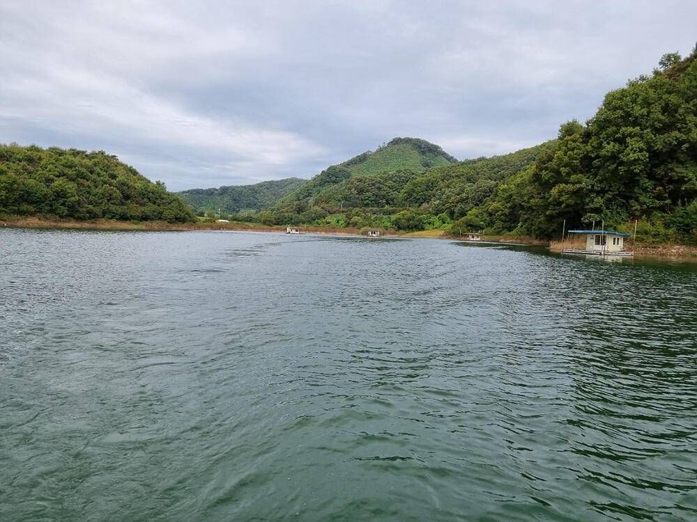 충주호 하천 낚시터 4짜 대물붕어 소식입니다 (조황조행기 - 특파원조황)