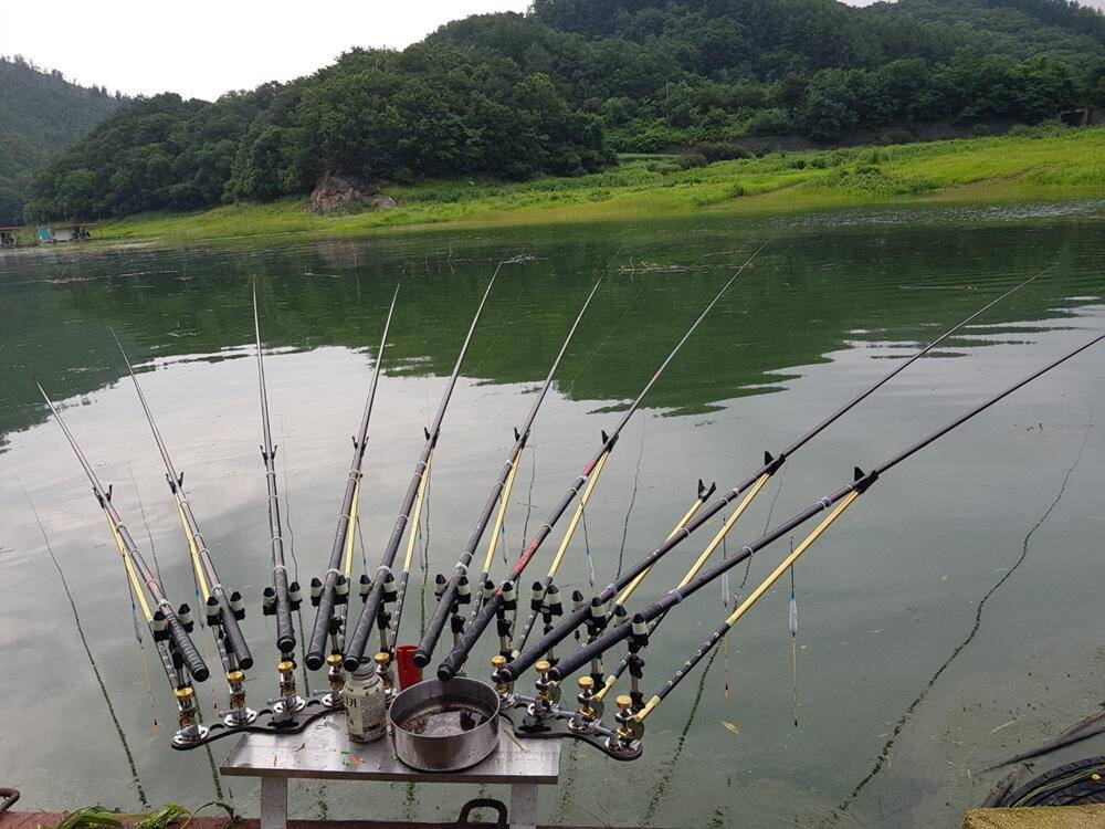 하천낚시터 4짜행진 43cm까지 (조황조행기 - 특파원조황)