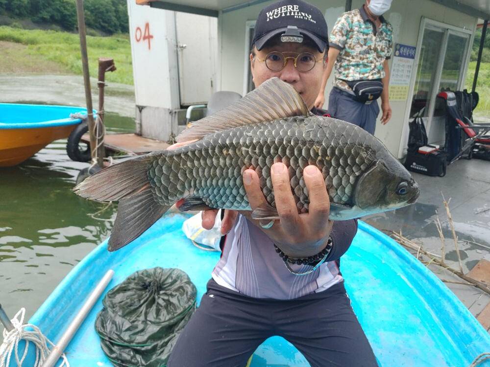 하천낚시터 4짜행진 43cm까지 (조황조행기 - 특파원조황)